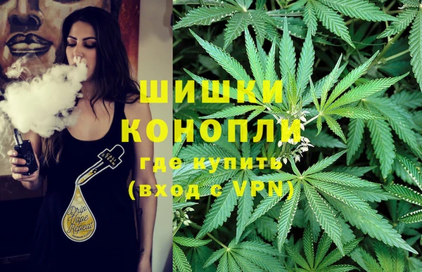 apvp Вязники