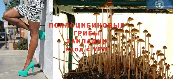 амф Вязьма